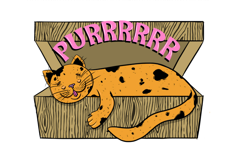 The purring container (Pertain) belonged to the purring cat. 